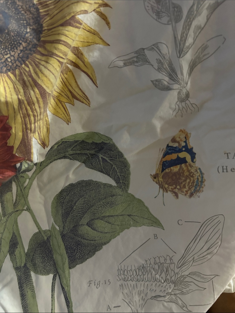 Pottery Barn Cream Sunflower & Wildflower Duvet Cover - Picture 7 of 7
